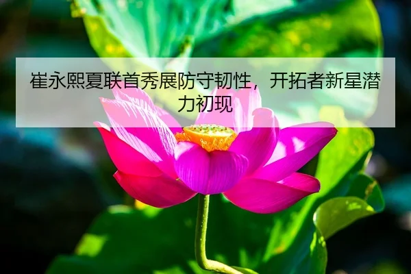 崔永熙夏联首秀展防守韧性，开拓者新星潜力初现