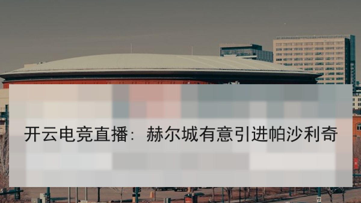 开云电竞直播: 赫尔城有意引进帕沙利奇