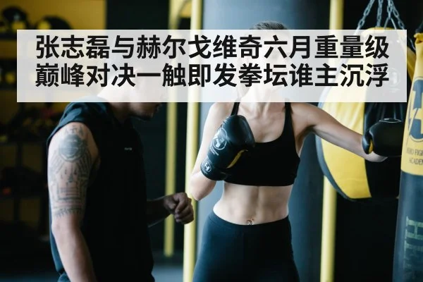 张志磊与赫尔戈维奇六月重量级巅峰对决一触即发拳坛谁主沉浮